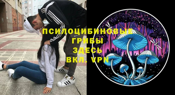 дживик Балабаново