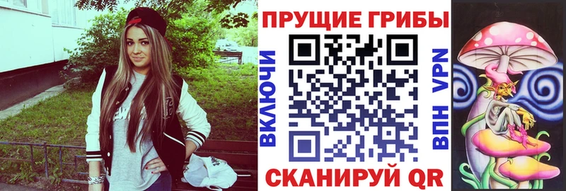 Галлюциногенные грибы Psilocybine cubensis Соль-Илецк