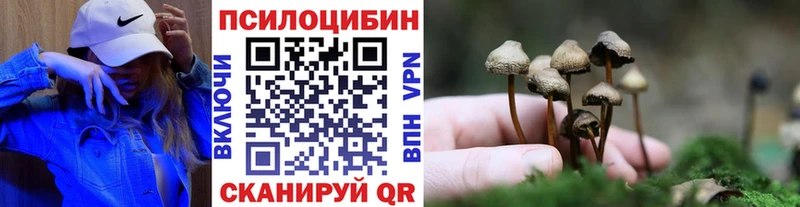Галлюциногенные грибы MAGIC MUSHROOMS  Соль-Илецк 